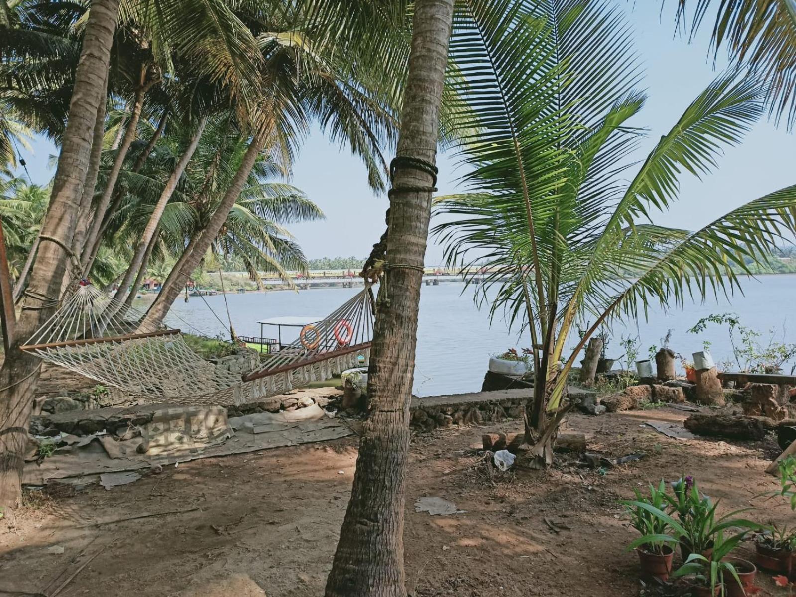 Island Riverside
