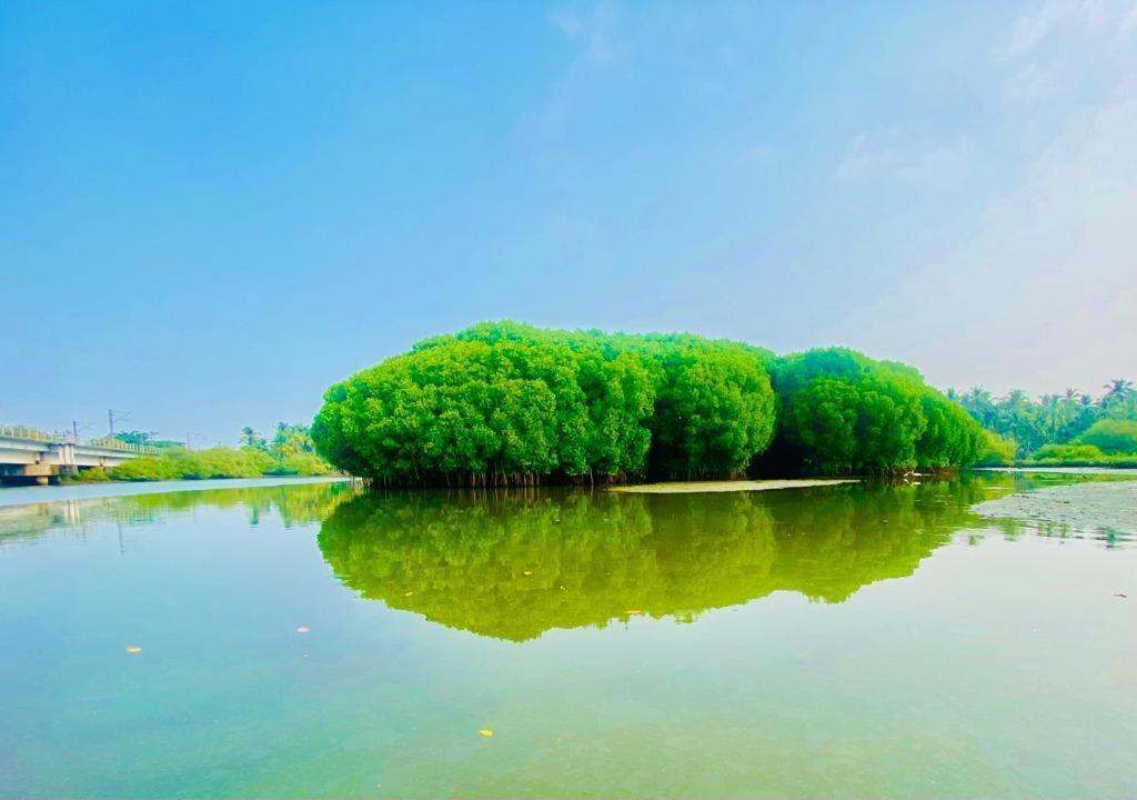 Island Riverside * Kozhikode